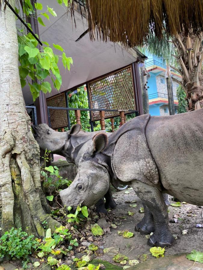 Nature Safari Camp Chitwan Exterior photo