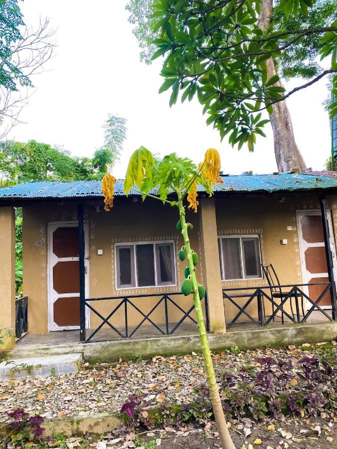 Nature Safari Camp Chitwan Exterior photo